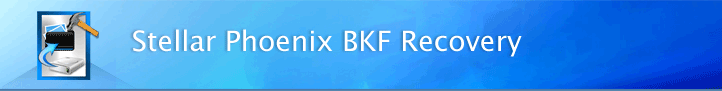 Exchange BKF Repair
