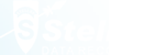 stellar data recovery