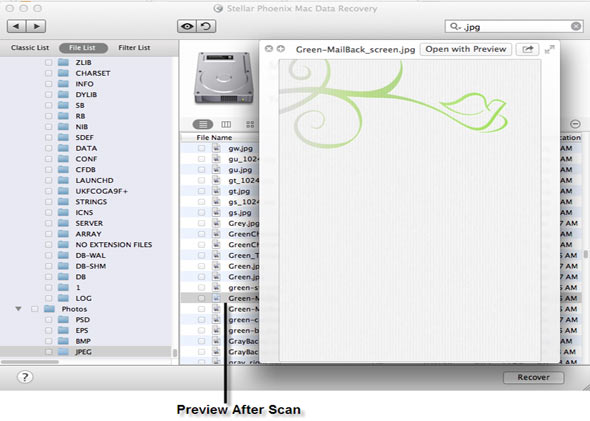 Mac Data Recovery Screenshot