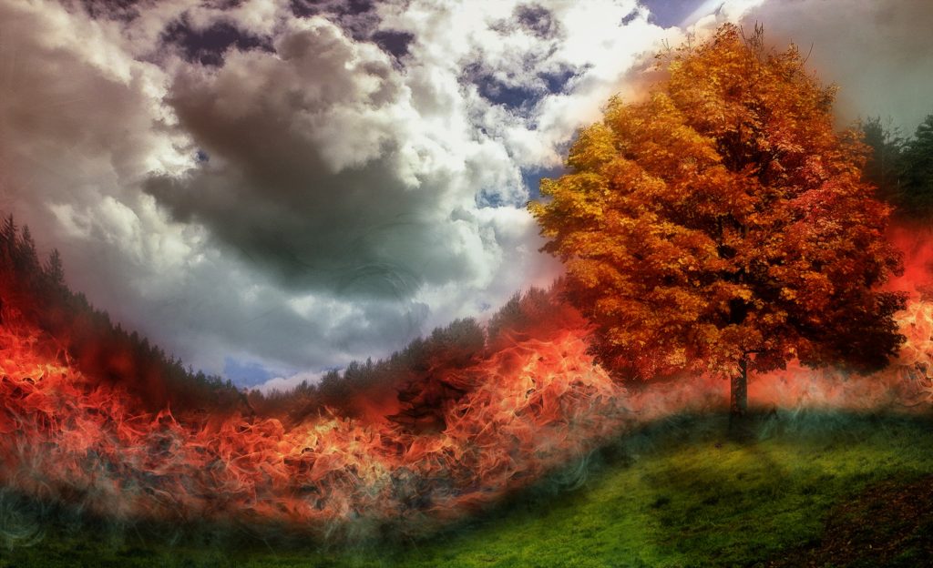 newest adobe photoshop newest adobe photoshop