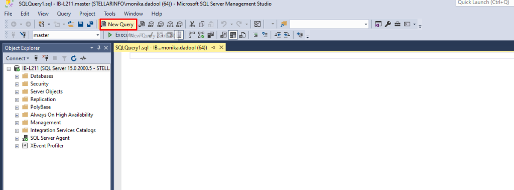 Select the New Query option