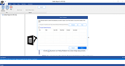 Once the file is selected, click Repair