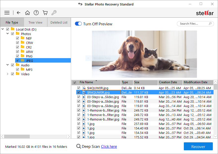 Figura: Ordenar los resultados del escaneo en Stellar Photo Recovery