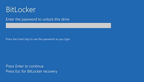BitLocker Drive with Recovery Key