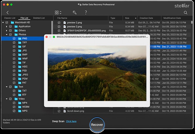 click Recover to save them onto the host Mac&rsquo;s own drive
