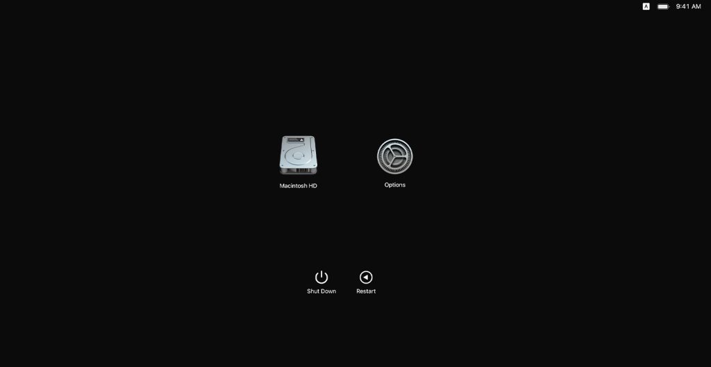 Click Options < Continue to enter Recovery