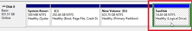 Healthy Logical Drive
