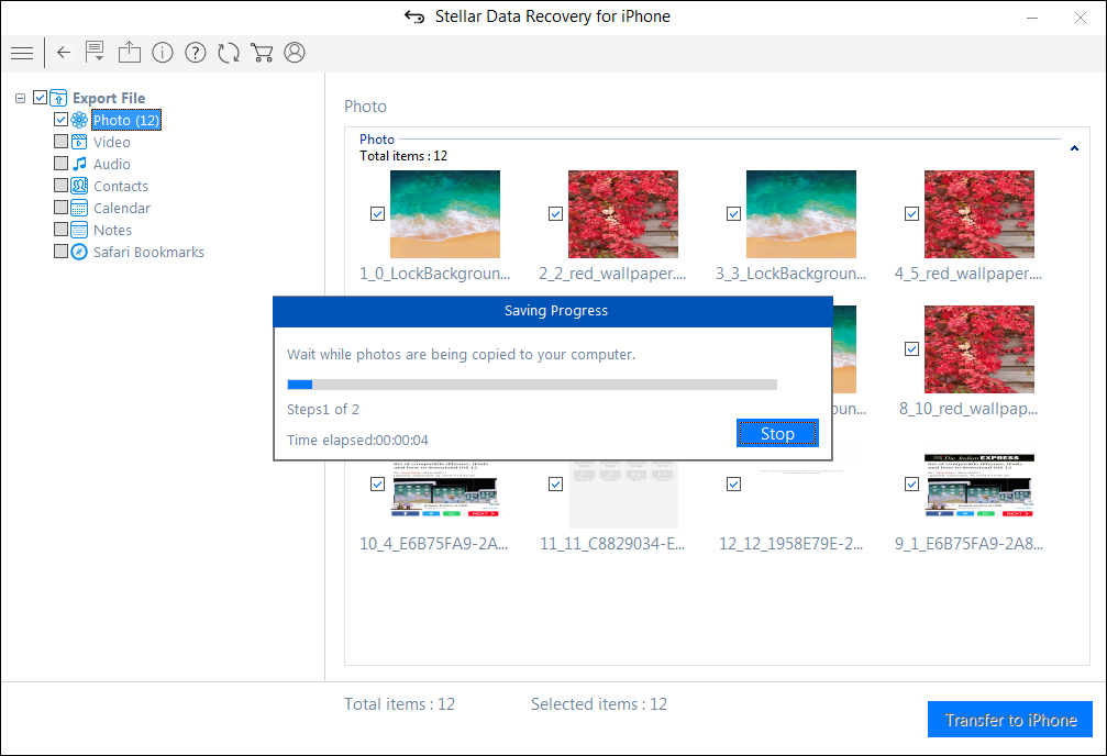 Stellar Data Recovery for iPhone - Transfer to iPhone