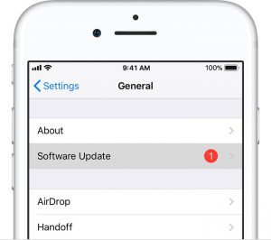 Select Software Update in Settings on iPhone