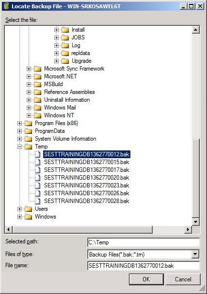restore database in SQL Server 2008 R2