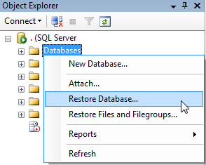 SQL Server database