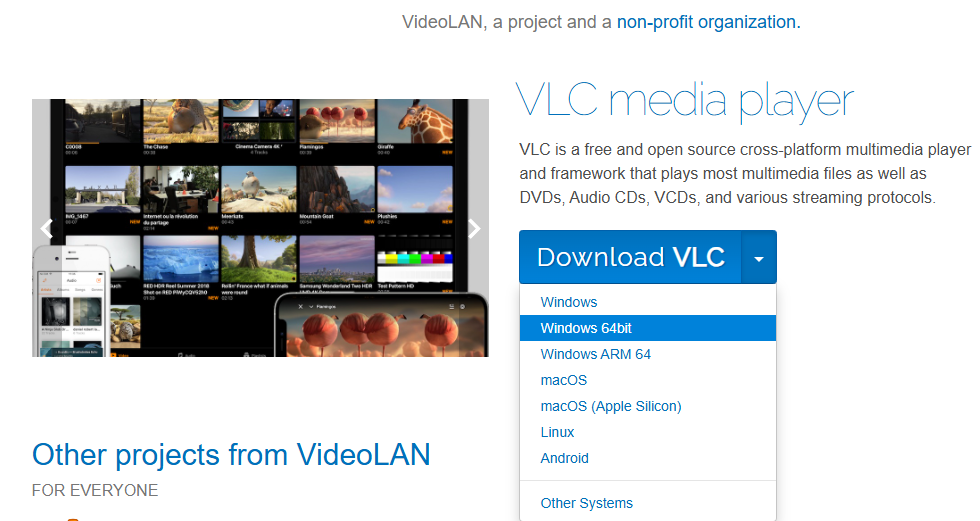 VLC Media player in chrome 