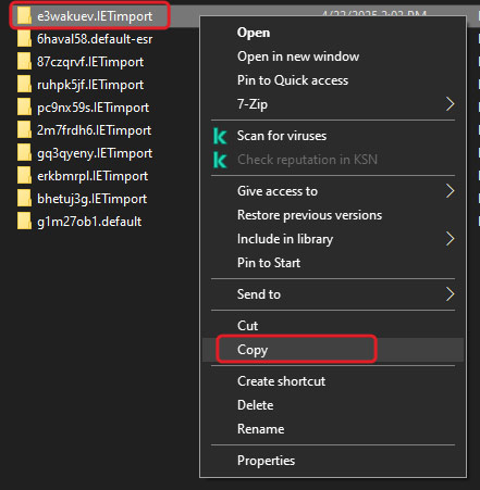 Copy the profile folder and paste 