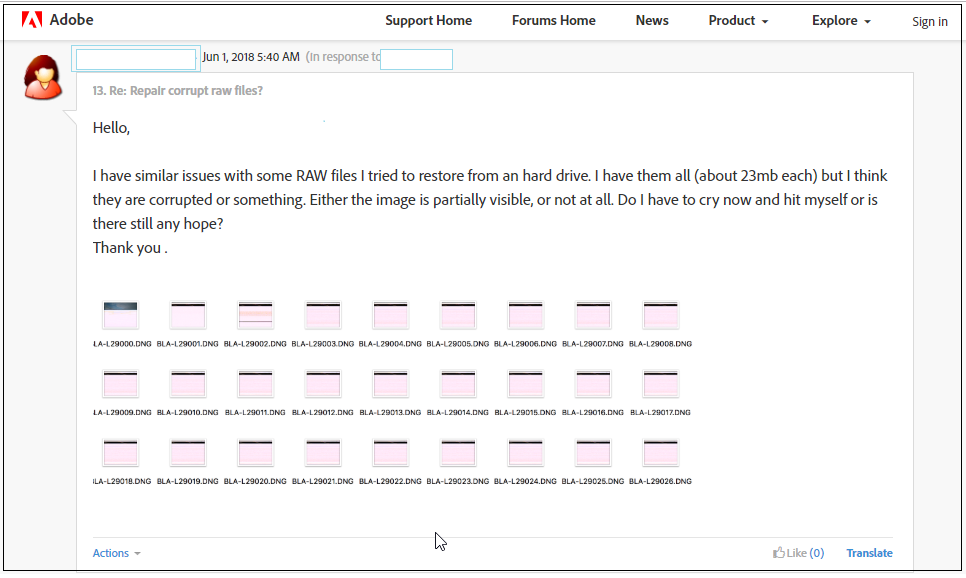 Users wary of DNG files corruption in Adobe forums
