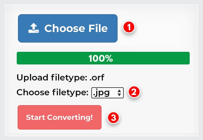 Convert ORF file format