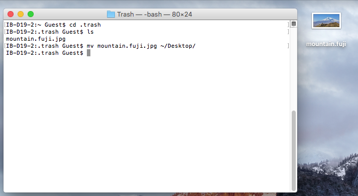 Trash file recovery