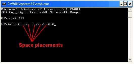 Retrieve Files Using cmd Command