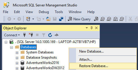 Restore Database option window