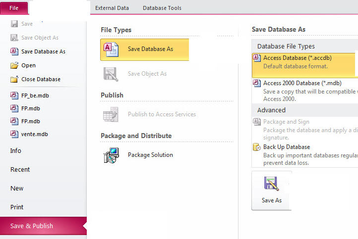 Within the Database File Types, choose 'Access Database (*.accdb)' by clicking on the specified option.