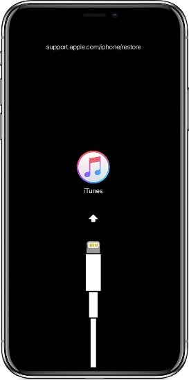 iTunes could not connect to this iPhone the value is missing