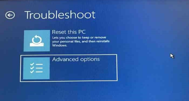 Troubleshooting screen with advanced option