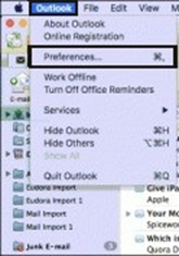 Outlook preferences