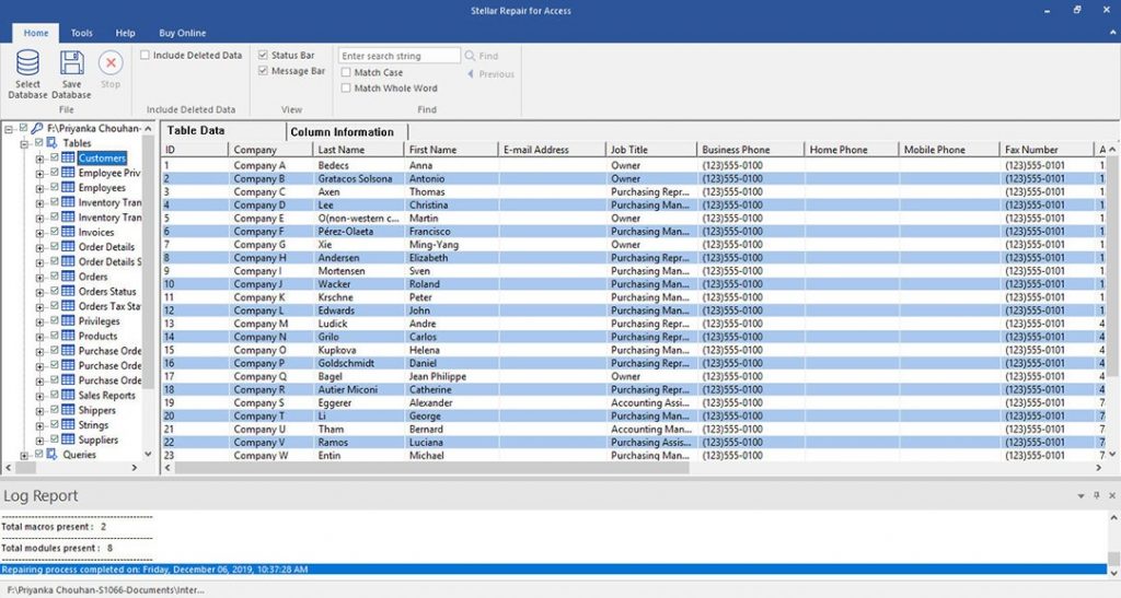 Preview repaired Access database file