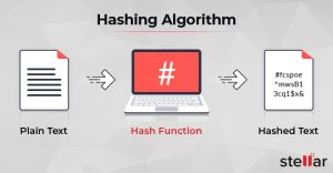 Importance of Hash Values in Digital Forensics for Data Integrity