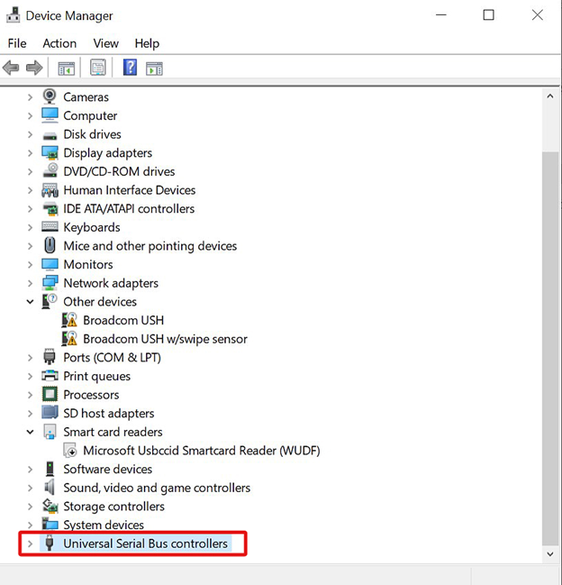 Immagine 5: Selezione dei controllori Universal Serial Bus