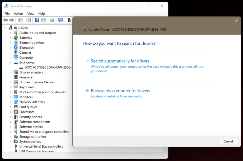 click search automatically for drivers
