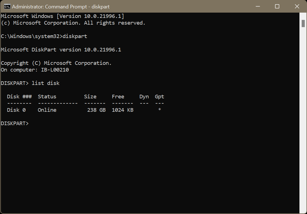 execute the list disk command