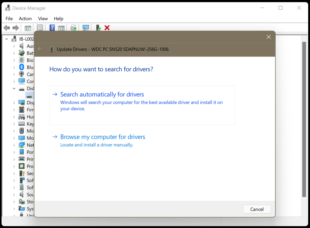 select search automatically for drivers