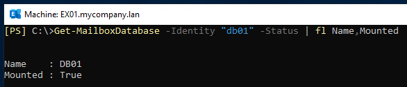Verification after Fix