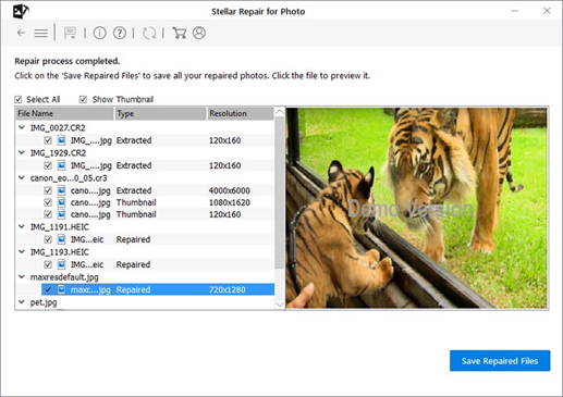 Preview repaired JPEG files in the software Windows 10