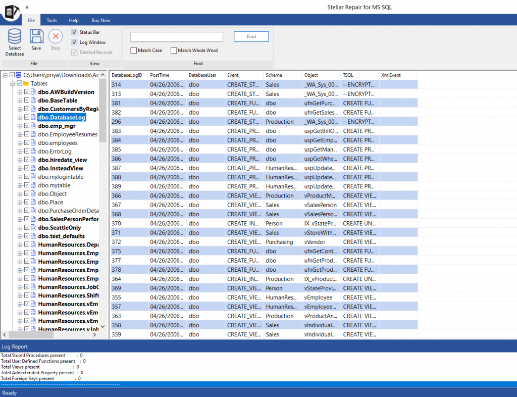 Preview of repaired MSSQL Database items .