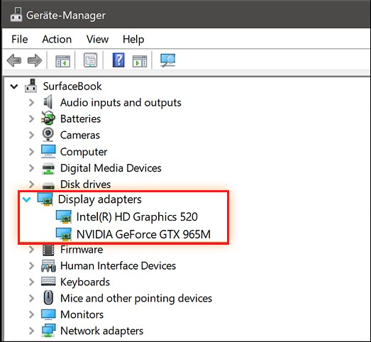 select display adpaters and find the graphics card