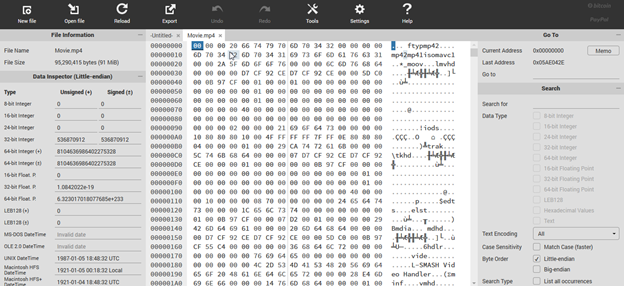 MP4 file data in HexEditor