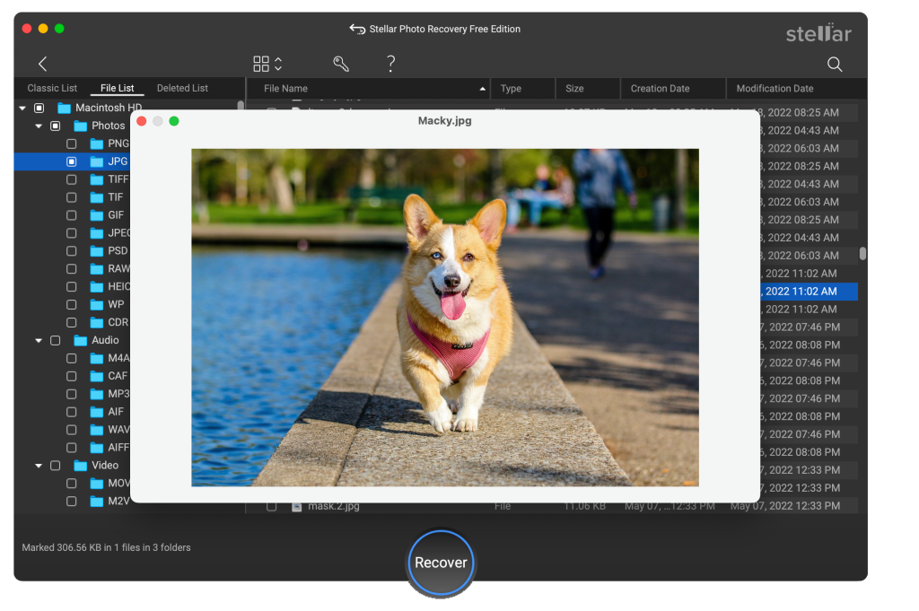 Stellar Photo Recovery- Preview