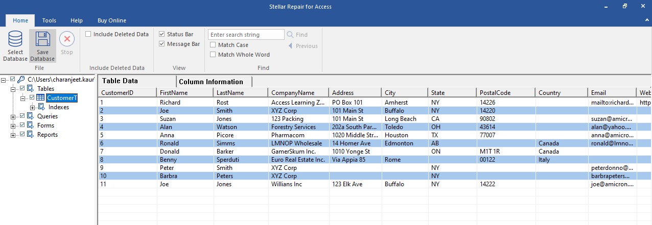 preview recoverable Access database components