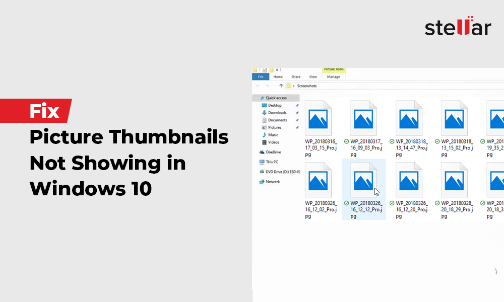 Fix Picture Thumbnails Not Showing-in-Windows-10