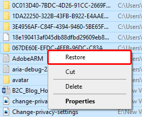 Restore Files from System Recycle Bin
