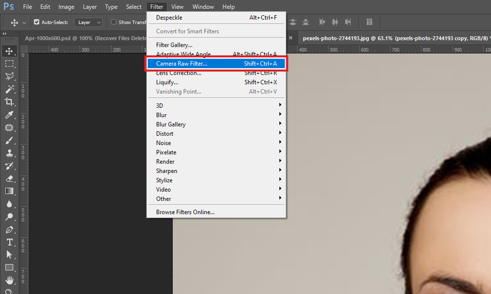 Camera Raw Filter option