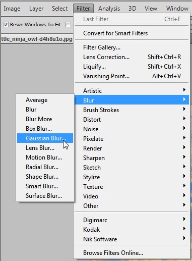 Gaussian Blur option in Photoshop