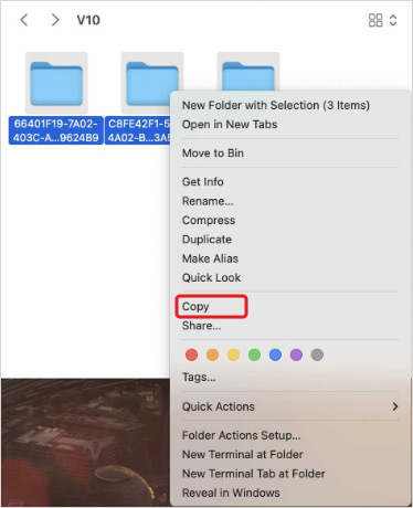 Copy all the folders containing MBOX files