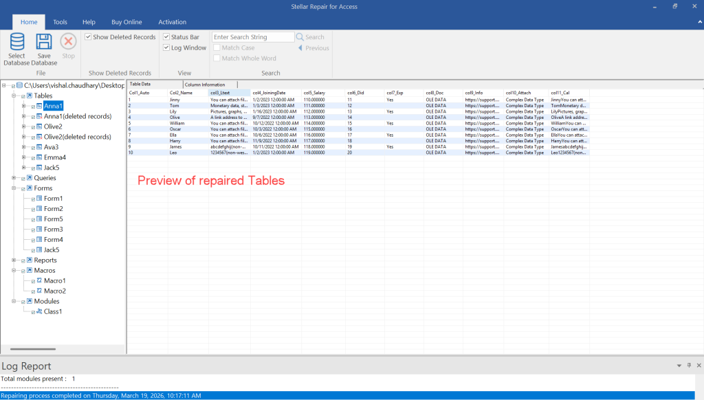 Preview of Repaired Tables