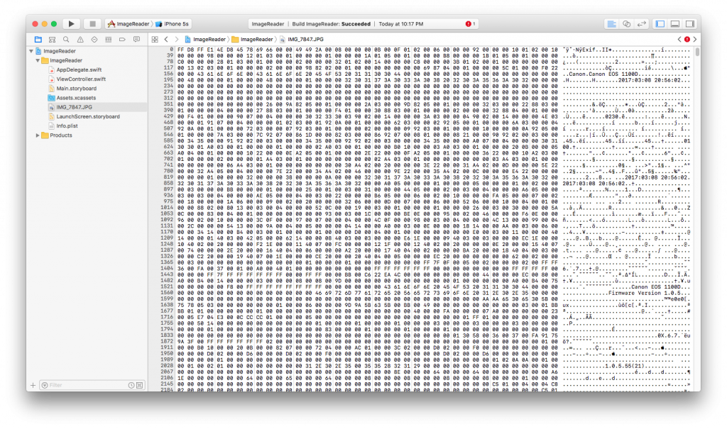 Figura: Los datos de un archivo JPG en el editor hexadecimal