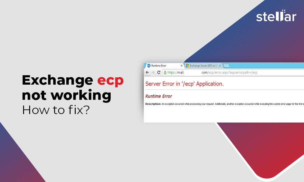 works in access runtime 2010 but not in 2013 works in access runtime 2010 but not in 2013