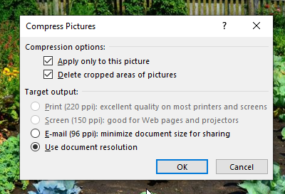 Compression options in Word