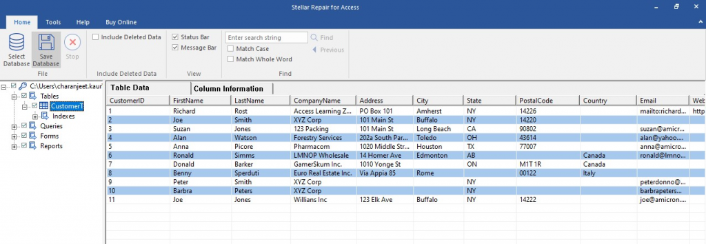 Preview Recoverable Access DB Components