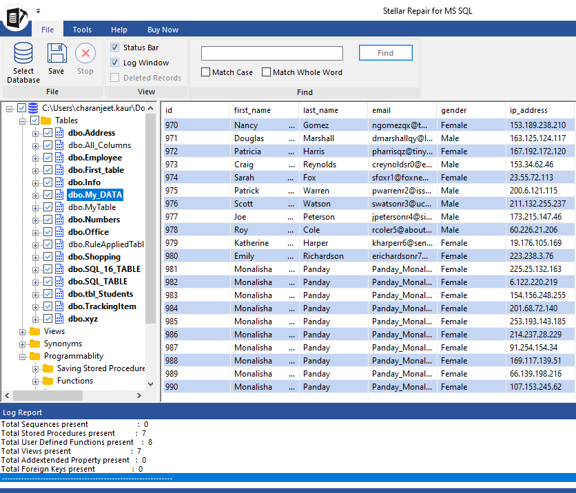 Preview Repaired SQL Database File